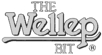 Wellep Bit Logo